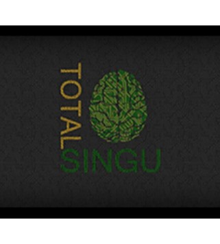 Total Singu Steam Key GLOBAL